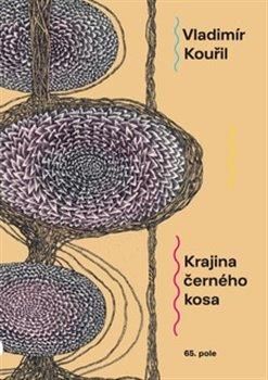 Obrázek produktu: Krajina černého kosa