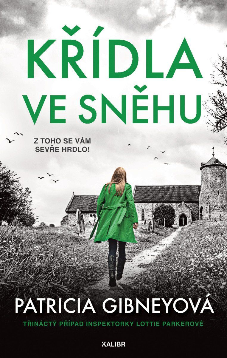 Levně Křídla ve sněhu
