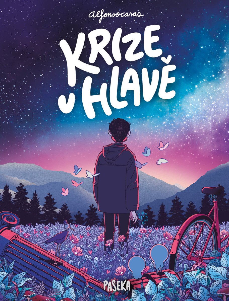Krize v hlavě
