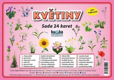Obrázek produktu: Květiny - Sada 24 karet