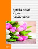 KNW0255055.jpg
