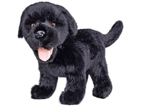 Obrázek produktu: Labrador plyšový 23 cm