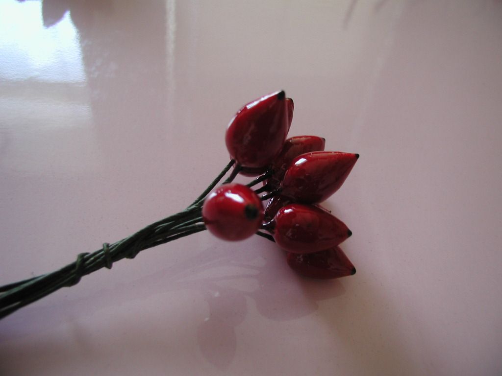 Lakovaný šípek, 18 mm - svazek