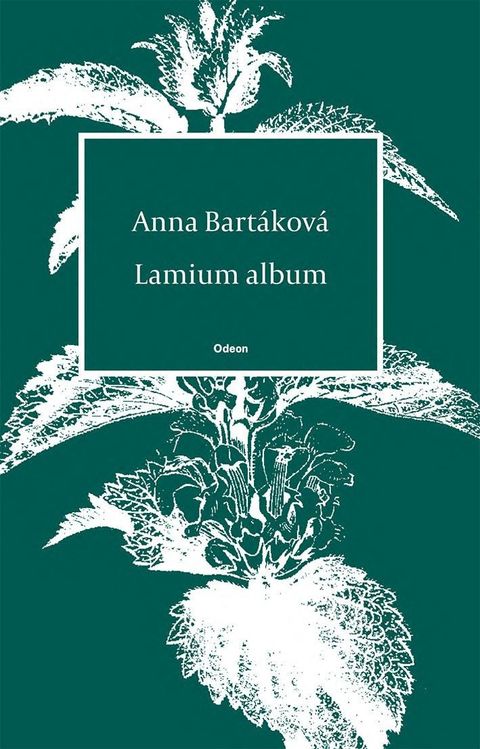 Obrázek produktu: Lamium album