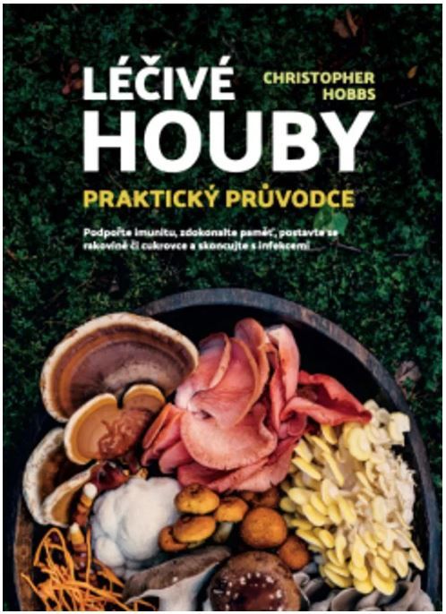 Léčivé houby – Praktický průvodce