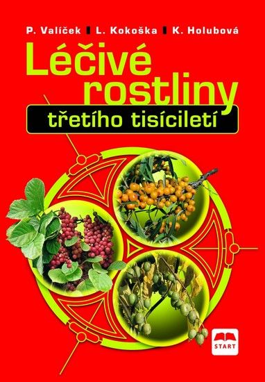 Léčivé rostliny třetího tisícíletí - Ladislav Kokoška, Pavel Valíček, Kamila Holubová