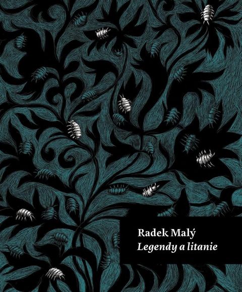 Obrázek produktu: Legendy a litanie
