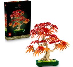 Obrázek produktu: LEGO® Botanicals 10348 Bonsaj – Japonský červený javor