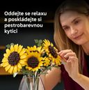 57043727424.3.jpg