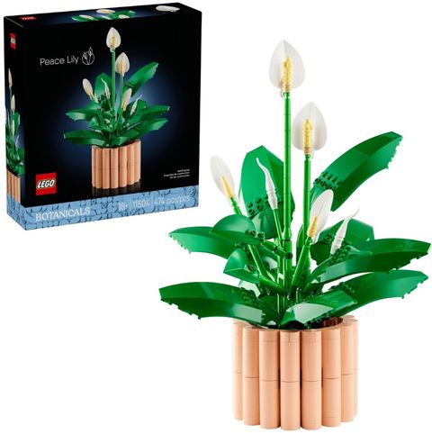 Obrázek produktu: LEGO® Botanicals 11504 Lopatkovec