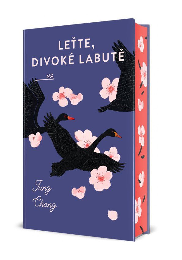 Leťte, divoké labutě