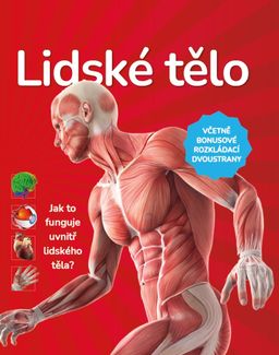 Obrázek produktu: Lidské tělo