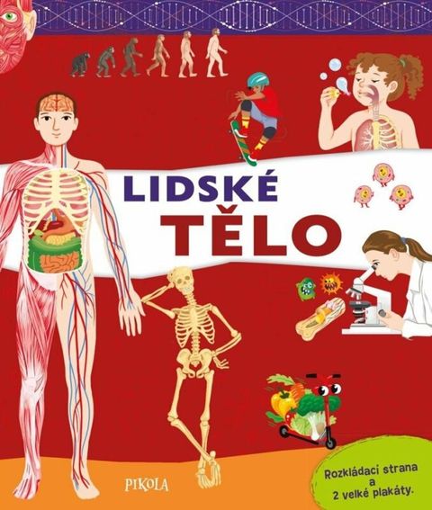 Obrázek produktu: Lidské tělo