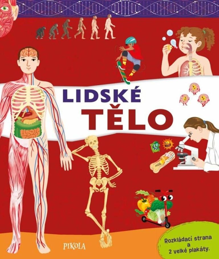 Lidské tělo Euromedia Group, a.s.