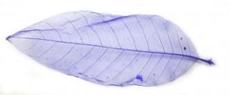 Listy fialové 20 cm, 10 ks