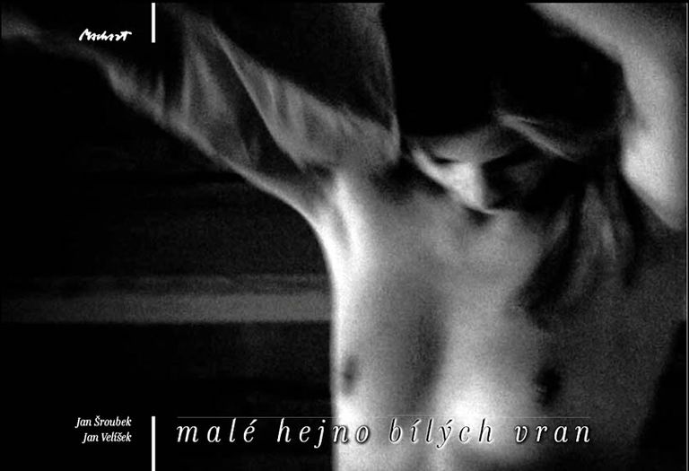 Malé hejno bílých vran - Jan Velíšek