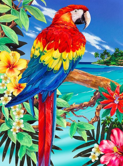 Obrázek produktu: Malování podle čísel 23x30cm R&L - Papoušek