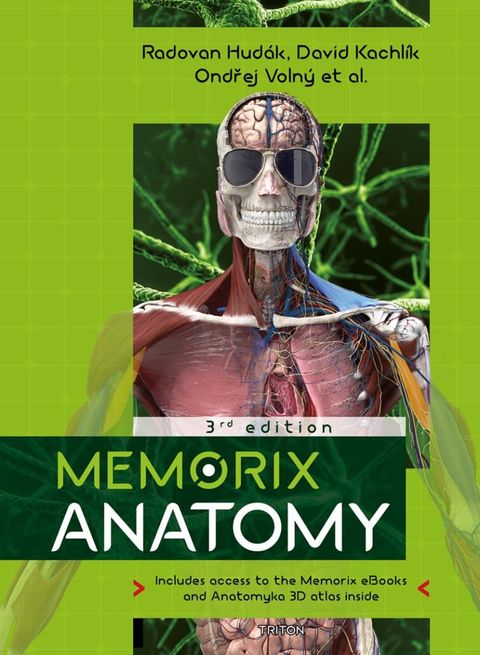 Obrázek produktu: Memorix Anatomy - Entire human anatomy i