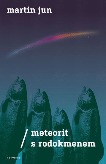 Obrázek produktu: Meteorit s rodokmenem