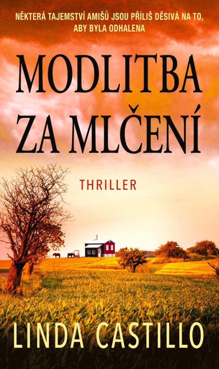 Modlitba za mlčení