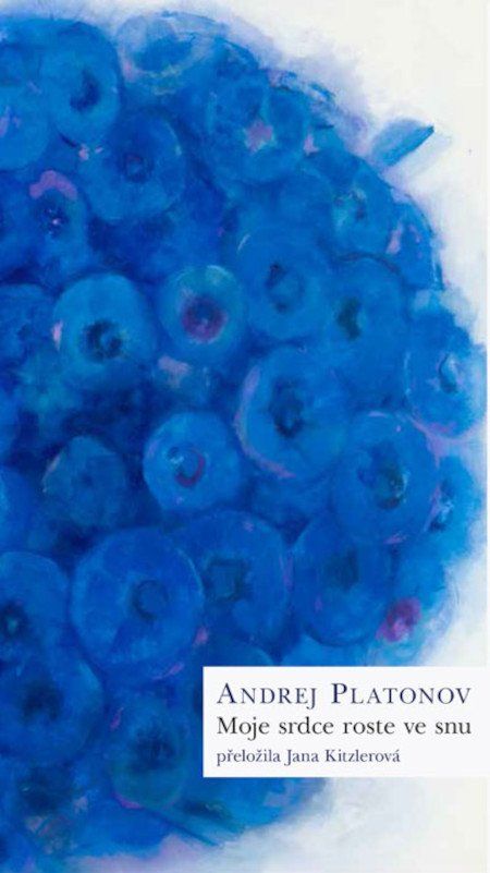 Obrázek produktu: Moje srdce roste ve snu