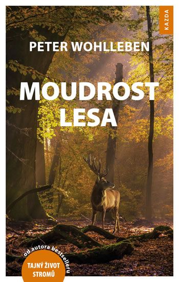 Obrázek produktu: Moudrost lesa
