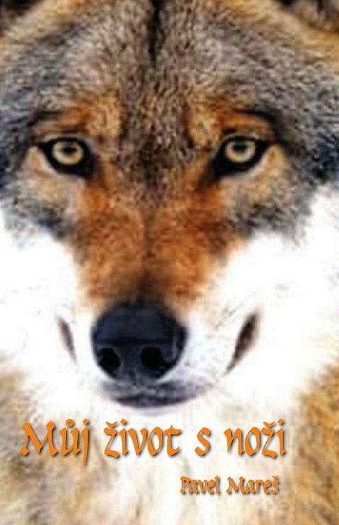 Obrázek produktu: Můj život s noži