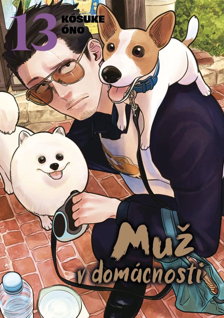 Levně Muž v domácnosti 13