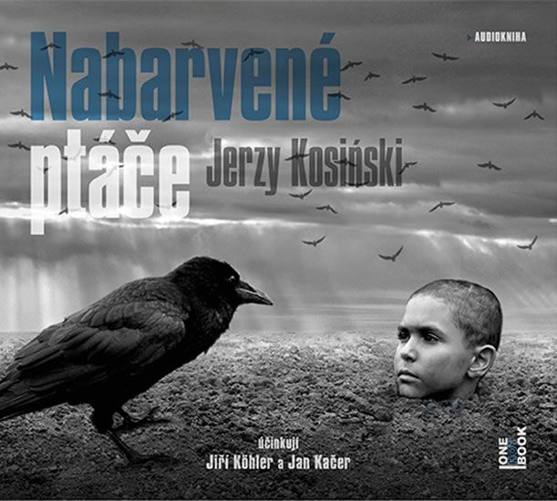Nabarvené ptáče - Jerzy Kosinski