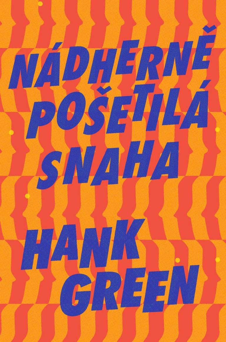 Levně Nádherně pošetilá snaha