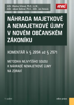Náhrada majetkové a nemajetkové újmy v novém občanském zákoníku