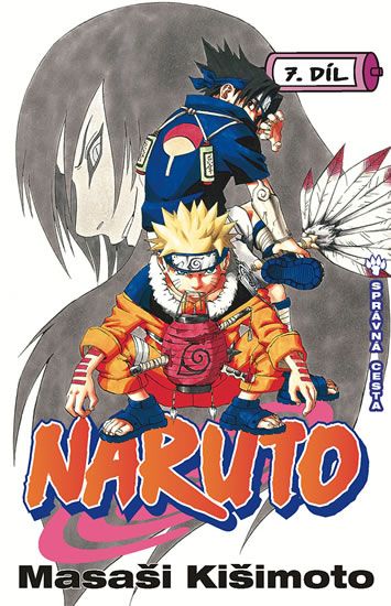Naruto 7: Správná cesta - Masaši Kišimoto