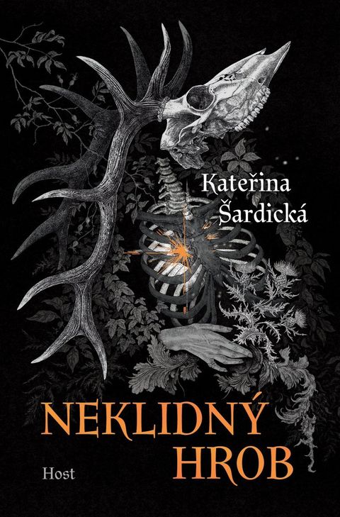 Obrázek produktu: Neklidný hrob