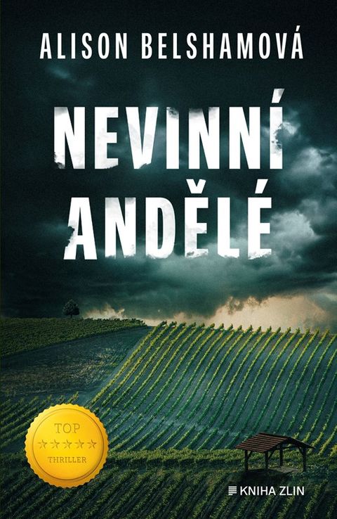 Obrázek produktu: Nevinní andělé