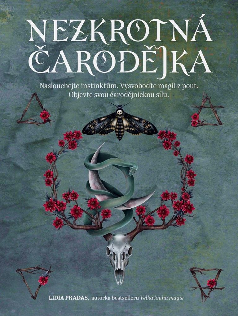 Levně Nezkrotná čarodějka