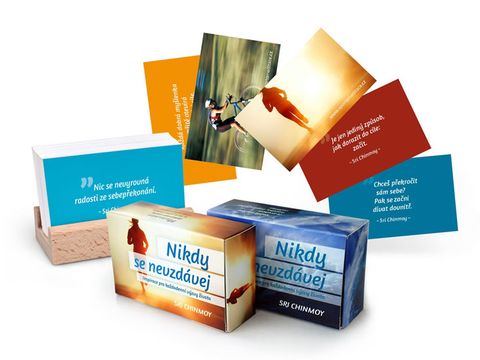 Obrázek produktu: Nikdy se nevzdávej / Inspirace pro každodenní výzvy života - karty s dřevěným stojánkem