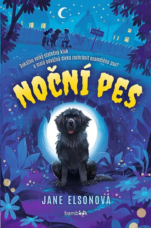 Obrázek produktu: Noční pes