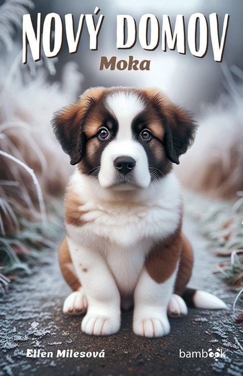 Obrázek produktu: Nový domov - Moka
