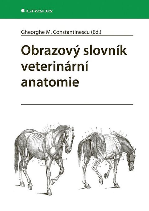 Obrázek produktu: Obrazový slovník veterinární anatomie