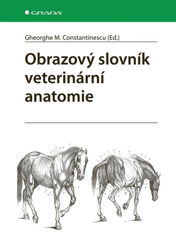 Levně Obrazový slovník veterinární anatomie