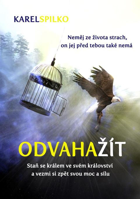 Obrázek produktu: Odvaha žít - Staň se králem ve svém království a vezmi si zpět svou moc a sílu