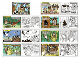 Obrázek produktu: Omalovánky - Jak bydlí ptáčkové?