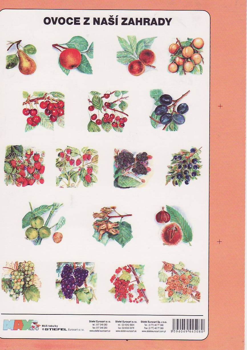 Ovoce z naší zahrady - tabulka A5