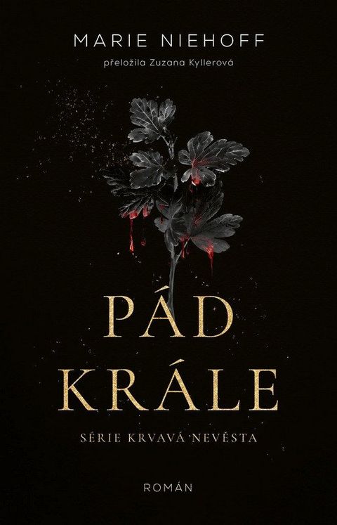 Obrázek produktu: Pád krále