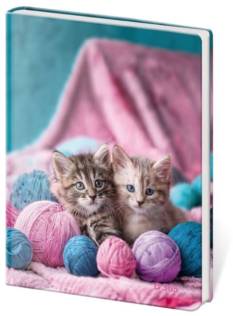 Obrázek produktu: Památník A5 čistý - Babes