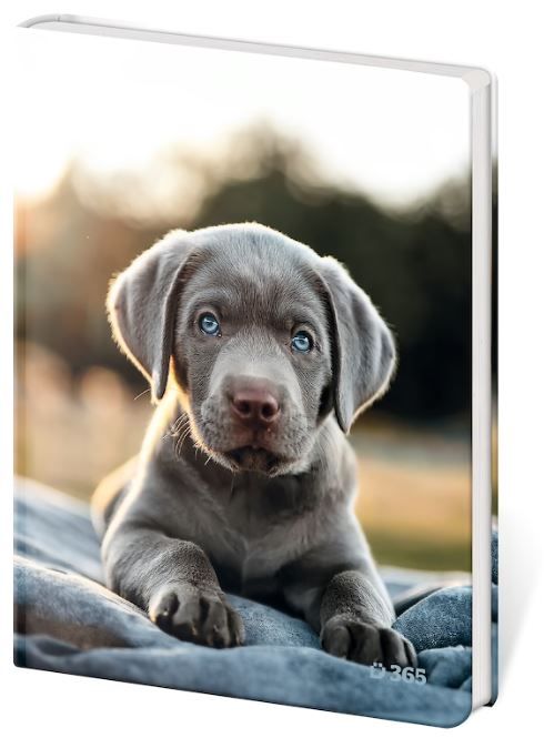 Památník A5 čistý - Pup