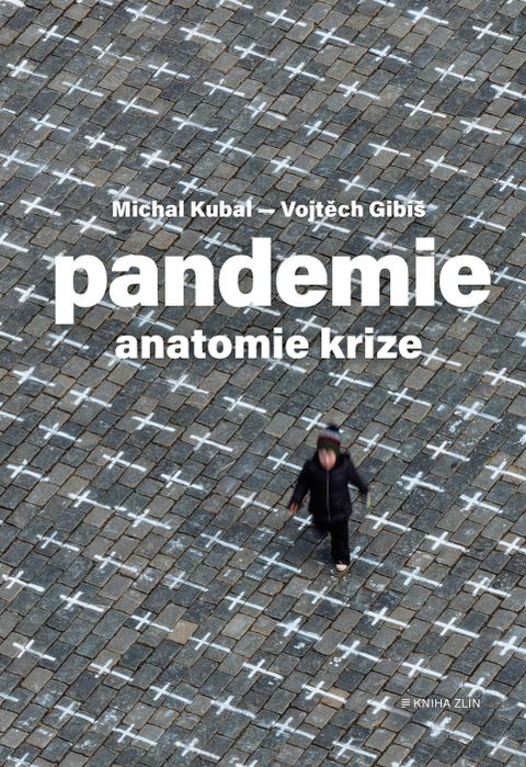 Obrázek produktu: Pandemie: anatomie krize