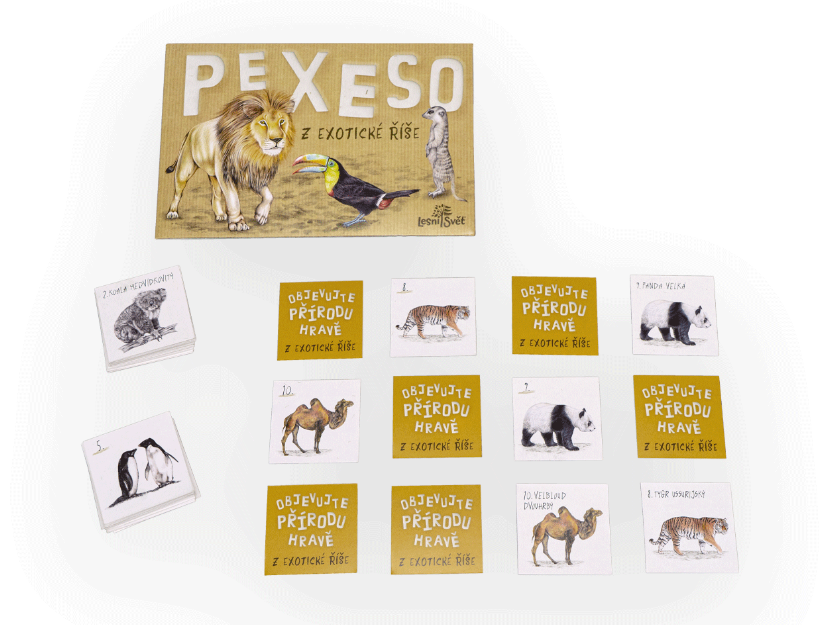 Papírové pexeso - z exotické říše