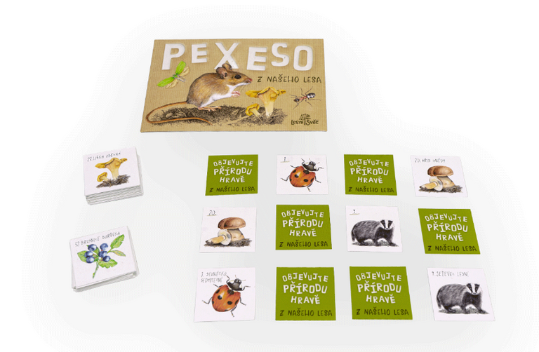 Papírové pexeso - z našeho lesa
