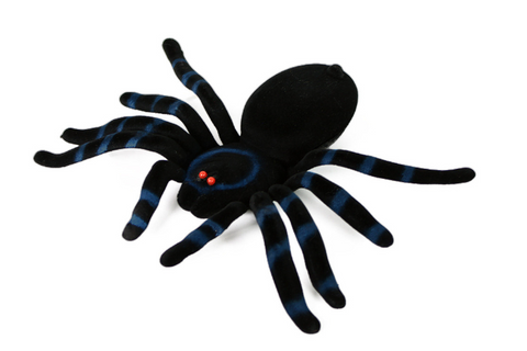 Obrázek produktu: Pavouk dekorace Halloween